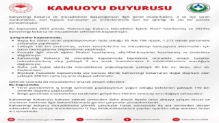 Kahverengi kokarca ile mücadele için 300 bin samuray arısı doğaya salınacak