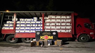 Kamyon kasasından 5 bin 250 adet kaçak makaron çıktı