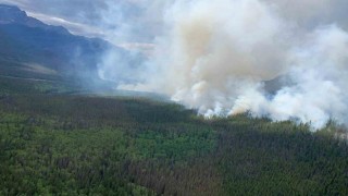 Kanadanın Alberta eyaletindeki orman yangınında 1 kişi öldü