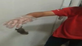 Kapaklıda dev gıda zincirinde skandal: Fare elini ısırdı, bir şey olmaz dediler iddiası