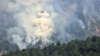 Karabükteki orman yangınında rüzgar etkisini artırıyor