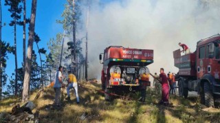 Karabükteki yangınlara müdahale devam ediyor