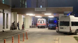 Karamanda çoban köpeğinin saldırdığı 8 yaşındaki çocuk yaralandı