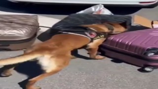 Kayseride 41 kilo uyuşturucu ele geçirildi
