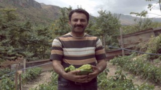 Kemaliyede kapya biberi yetiştirilmeye başlandı