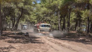 Kepez Belediyesi, orman yangınına karşı teyakkuzda
