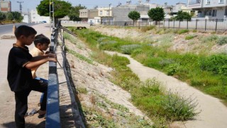 Kiliste temizlenmeyen kanal boyu deresi tehlike saçıyor