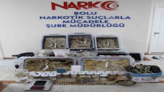 Kimya laboratuvarı değil uyuşturucu imalat hanesi