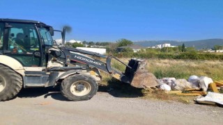 Kirliliği önlemek için bir telefon yeterli