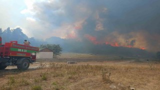 Kızılcahamamdaki yangının tanığı: Birden kıvılcım geldi, çok korktum
