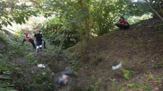 Kökünden kopan incir ağacı yaşlı adamın sonu oldu