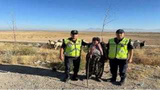 Konyada kayıp küçükbaş hayvanları jandarma buldu