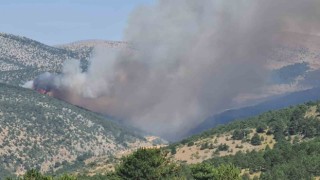 Konyada ormanlık alanda yangın