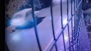 Köpeği ezip yoluna devam etti