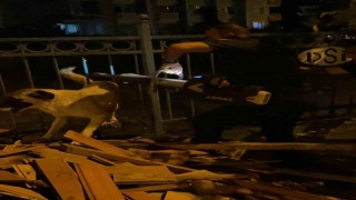 Korkuluklarda sıkışan köpeği itfaiye kurtardı