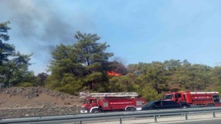 Köyceğiz Orman yangını kısmen kontrol altında