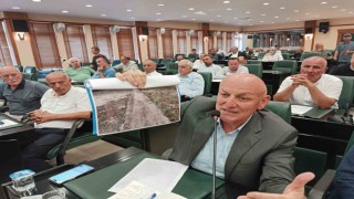 Kul: 185 adet kum zambağının yeri değiştirilerek, koruma altına alındı