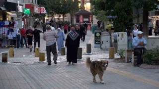 Kütahya kredi kullanımı ve batık kredi tutarında 40. sırada
