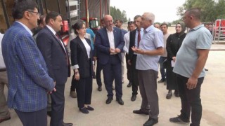 Kütahyada AB destekli besi çiftliği