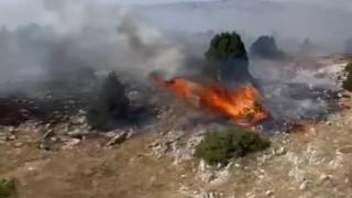 Kütahyada orman yangını: 10 dekar alan zarar gördü