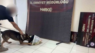 Makarna poşetleri içerisinde bonzai nakliyatı