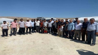 Malatyada kayısı üreticileri TMOnun alım yapmasını bekliyor