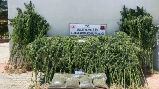 Malatyada uyuşturucu operasyonu