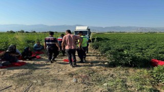 Manisada tarlada acı olay: Tarlada uyurken üzerinden kamyon geçen çocuk hayatını kaybetti
