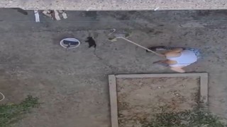 Manisada vahşet: 3 yavru kediyi fırça sapıyla öldürdü