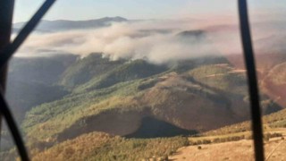 Manisadaki orman yangınıyla mücadele devam ediyor
