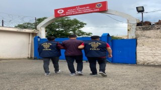 Mardinde firari 11 suçlu tutuklandı