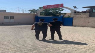 Mardinde firari 12 suçlu yakalandı