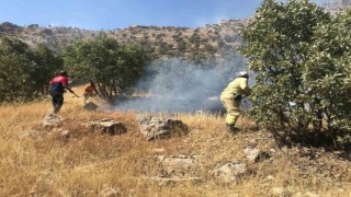 Mardinde ormanlık alanda çıkan yangın söndürüldü