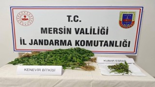Mersinde uyuşturucu operasyonu: 6 gözaltı