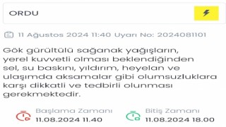 Meteorolojiden Ordu için sarı uyarı