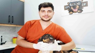 Mikroçip uygulaması evcil hayvan sahiplerine sorumluluk aşılıyor