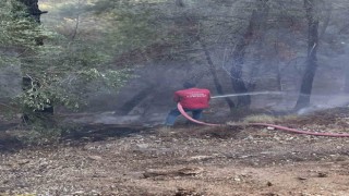 Milas yangınına bölgedeki Termik Santral ekipleri de müdahale ediyor