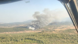Milasta orman yangını