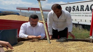 Milletvekili Çalkın, TMO alımlarını yerinde inceledi