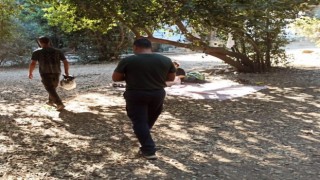 Milli Parkta tedbirler üst seviyede, tüp kullananlara göz açtırılmıyor