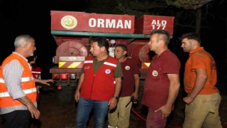 Muğla Büyükşehir Belediyesi orman yangınlarında tüm gücüyle sahada