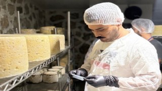 Muğlada süt ve süt ürünleri işletmelerine denetim