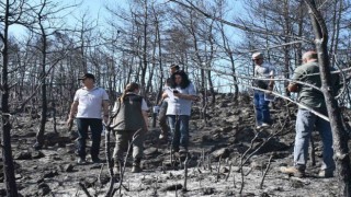Muğlada yanan orman alanlarında yeşillendirme çalışmaları başladı