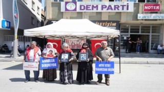 Muşlu ailelerin evlat nöbeti devam ediyor
