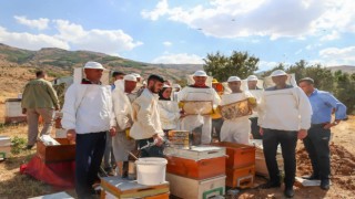 Muşta 600 ton bal hasadı bekleniyor