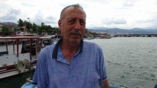 Mutlu: Bu sezon palamut da, istavrit de umut verici