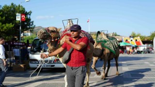Nallıhanda festival coşkusu