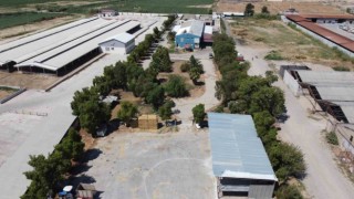 Nazilli Belediye Mezbahasında yeni dönem