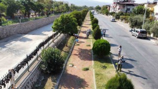 Nazillide yürüyüş yolları temizlendi