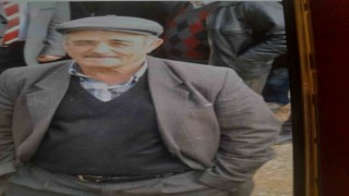 Odun kesmek için evden ayrılan şahıs ormanda ölü bulundu